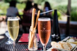 2026世界杯，熬夜与不熬夜，哪种方式更适合你？2026世界杯要熬夜吗