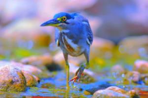 2026世界杯，熬夜与不熬夜，哪种方式更适合你？2026世界杯要熬夜吗